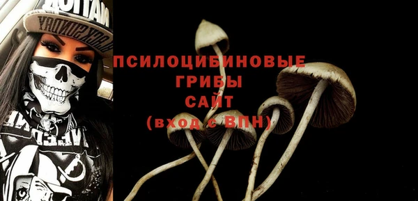 бошки Каменка