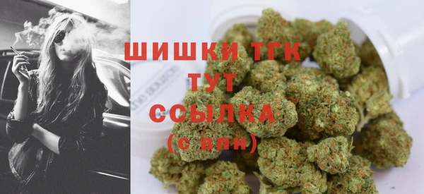 бошки Каменка